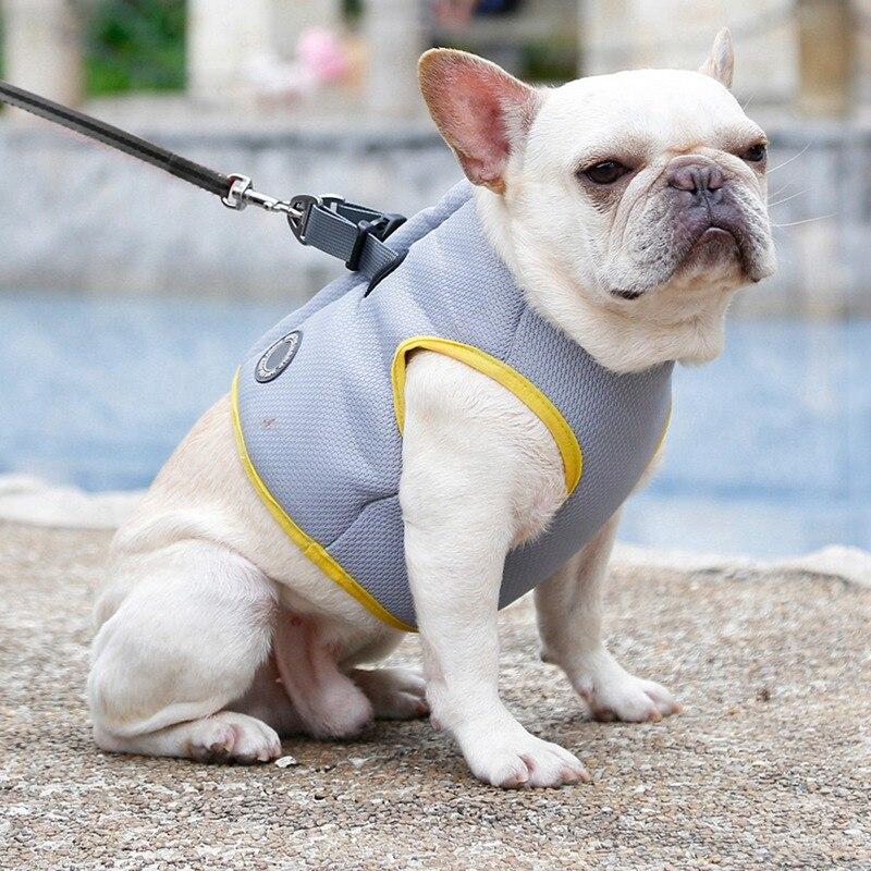 Dog Harness and Leash Set for Chihuahua Pug Small Medium Puppy
